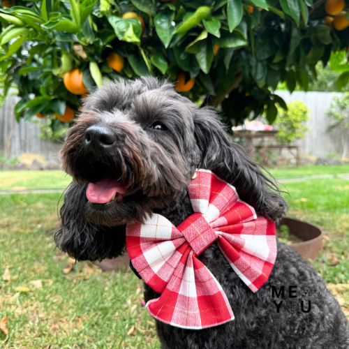 MMDY_Brands_FureverKind