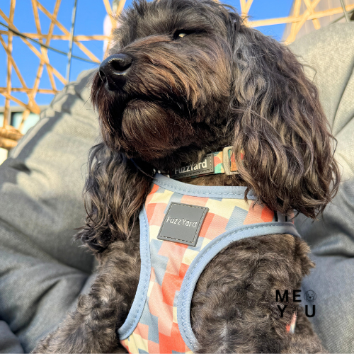 MMDY_Brands_FuzzYard MMDY_Brands_FuzzYard