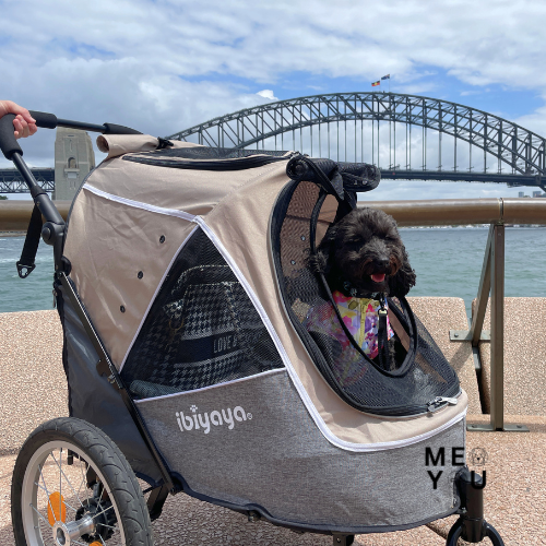 MMDY_Brands_ModernPets