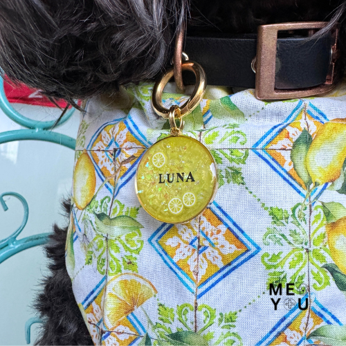 MMDY_Brands_Untagged