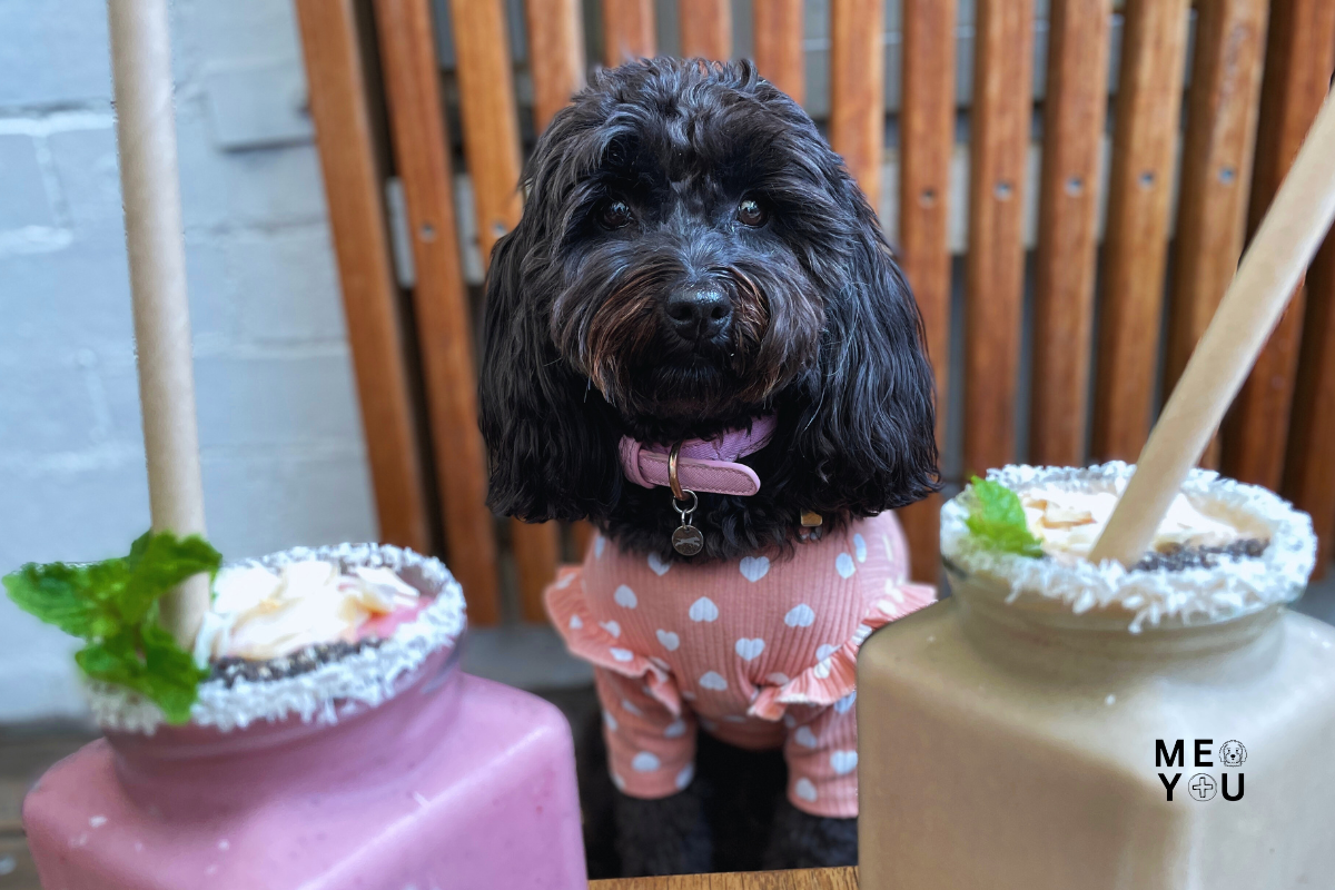 Luna at Temperance Society Cafe in Hughesdale, Melbourne